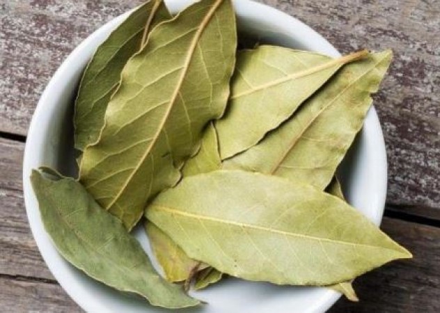 Bay leaf is beneficial for diabetic patients, Know-how?