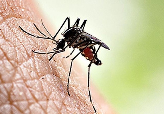 Bihar Witnesses Alarming Surge in Dengue Cases with 6,146 in September