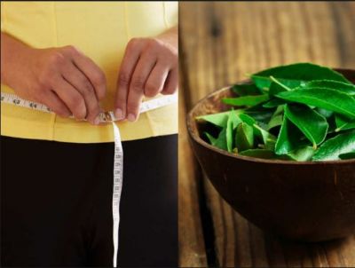 Curry leaves can also help in weight loss, use it in such ways