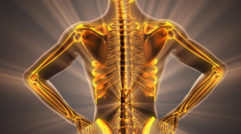 Start consuming these things to strengthen bones