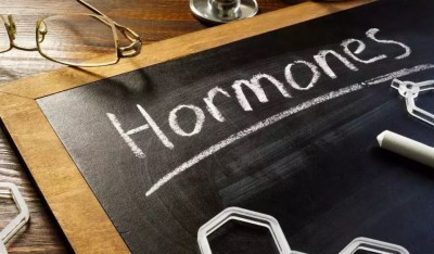 Has the Level of Hormones Deteriorated in Your Body? Normalize It Like This