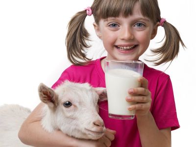 अस्थमा के रोगियों के लिए फायदेमंद है बकरी का दूध