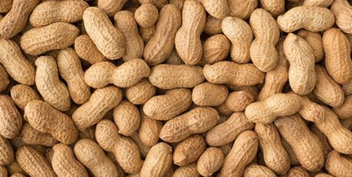 Peanuts increase the amount of protein in the body