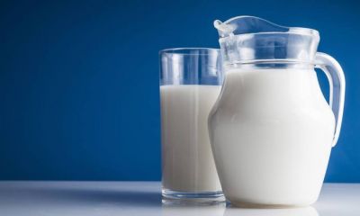 स्वस्थ रहना है तो रोज करें एक गिलास गर्म दूध का सेवन