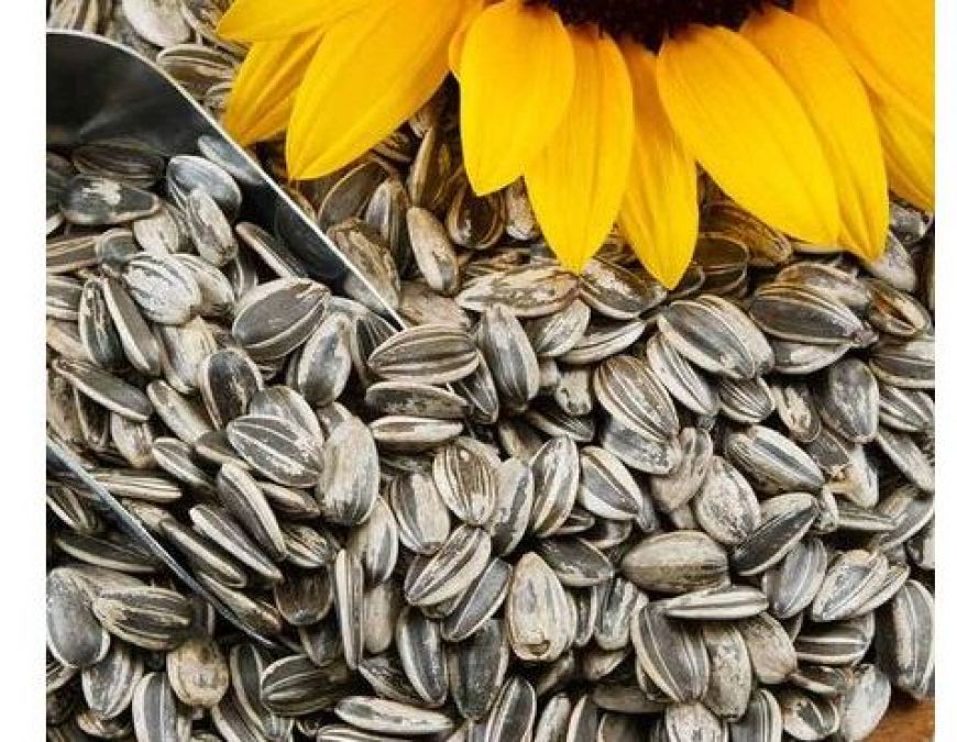 The seeds of this flower can control blood sugar know other surprising benefits