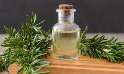 Rosemary Oil: Beneficial for Alleviating These Conditions