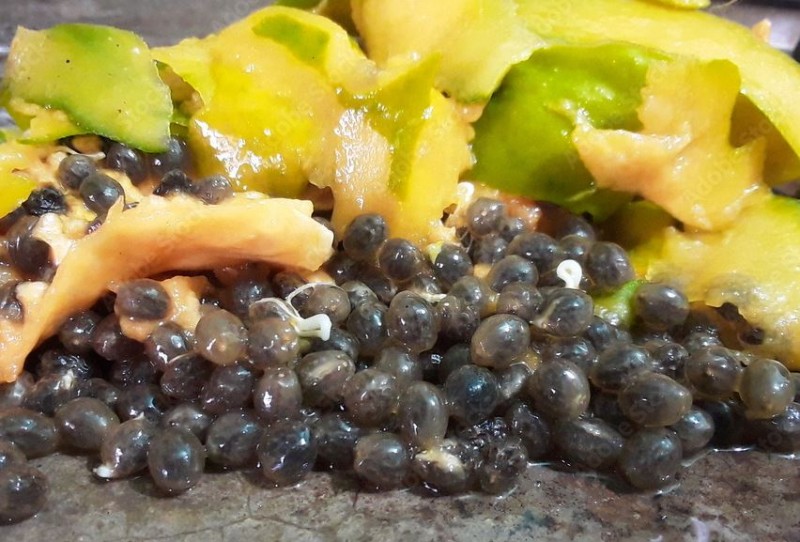 Papaya Seeds and Peels Are Very Beneficial: How to Use Them