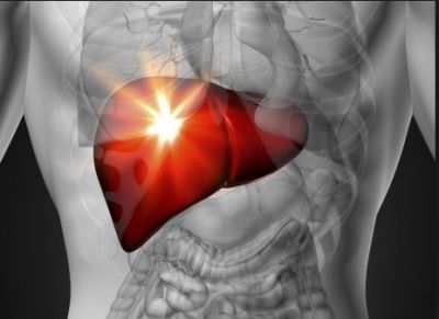 Keep the liver healthy by adopting these ayurvedic ways