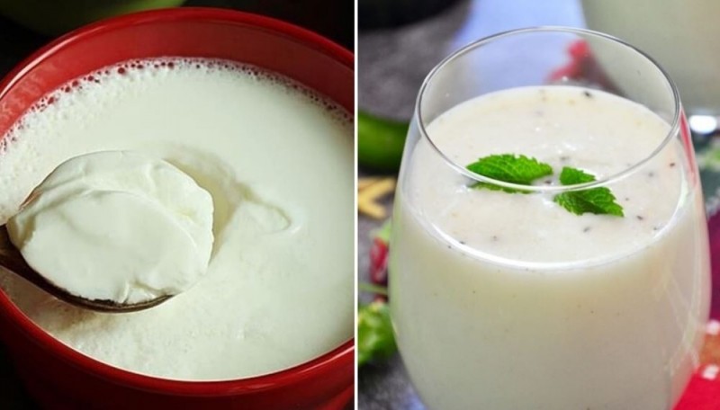 Which is Better for Weight Loss: Buttermilk or Yogurt?