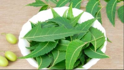 Benefits of eating Neem Leaves Every Morning