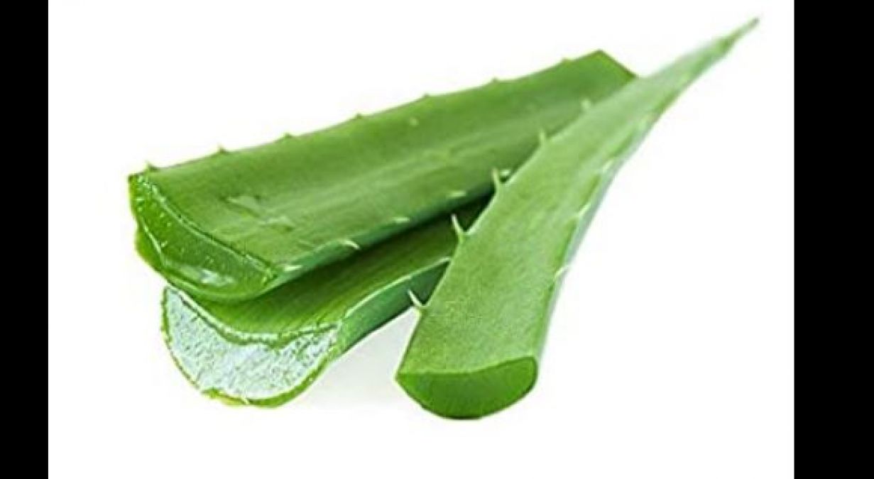 Excess use of aloe vera can be dangerous