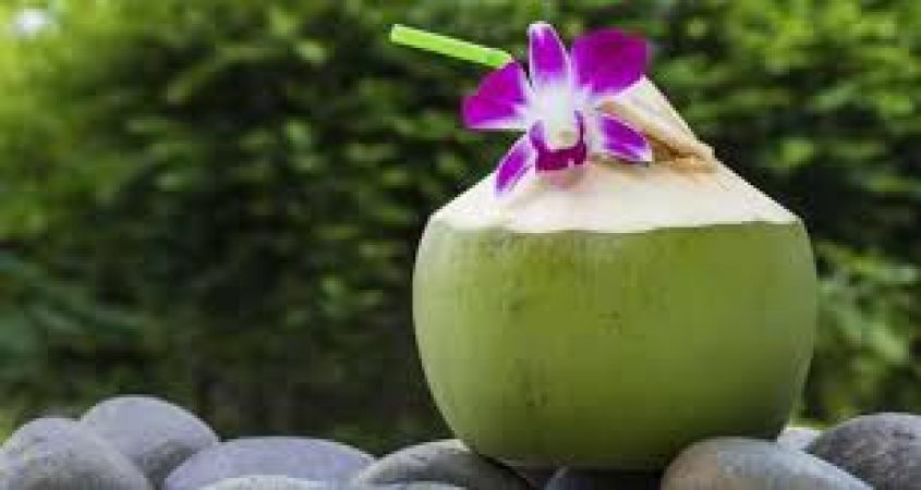आपके दिल का ख्याल रखता है नारियल पानी, जानें अन्य फायदे