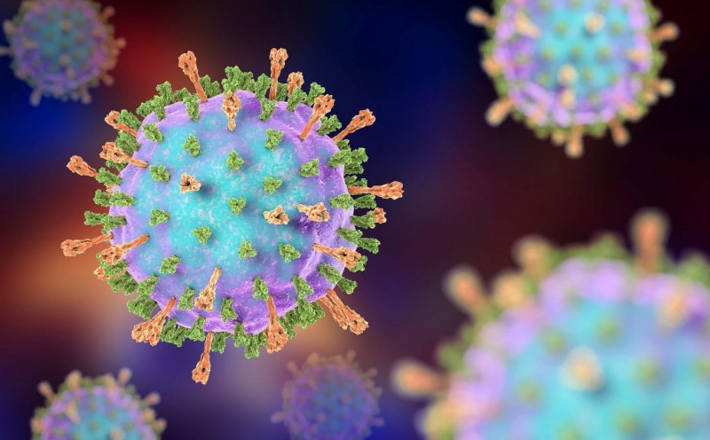 Mumps Virus: Understanding Its Symptoms and Prevention Methods
