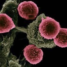 अध्ययन से पता चलता है कि  रासायनिक तकनीक कैंसर के लिए लक्षित उपचार  कर सकती है