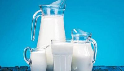 दूध के साथ इन चीज़ों का सेवन बिगड़ सकता है आपका स्वास्थ