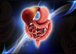 Know these interesting things related to body's digestive system