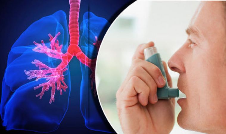 World Asthma Day : कॉकरोच और धूल से हो रहा हैं सबसे ज्यादा अस्थमा