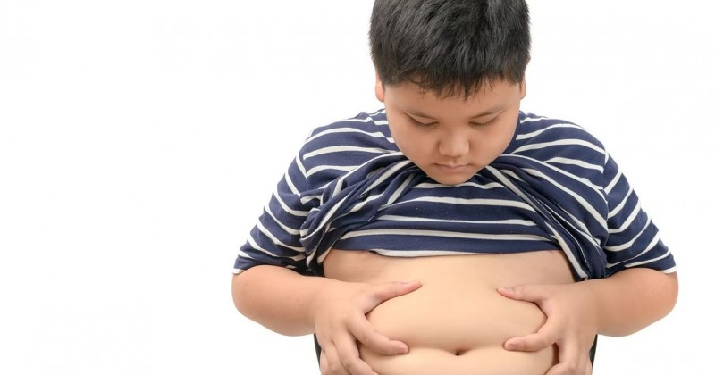 बच्चो में बढ़ता जा रहा है मोटापा ,विशेषज्ञों से जाने कारण और उपाय