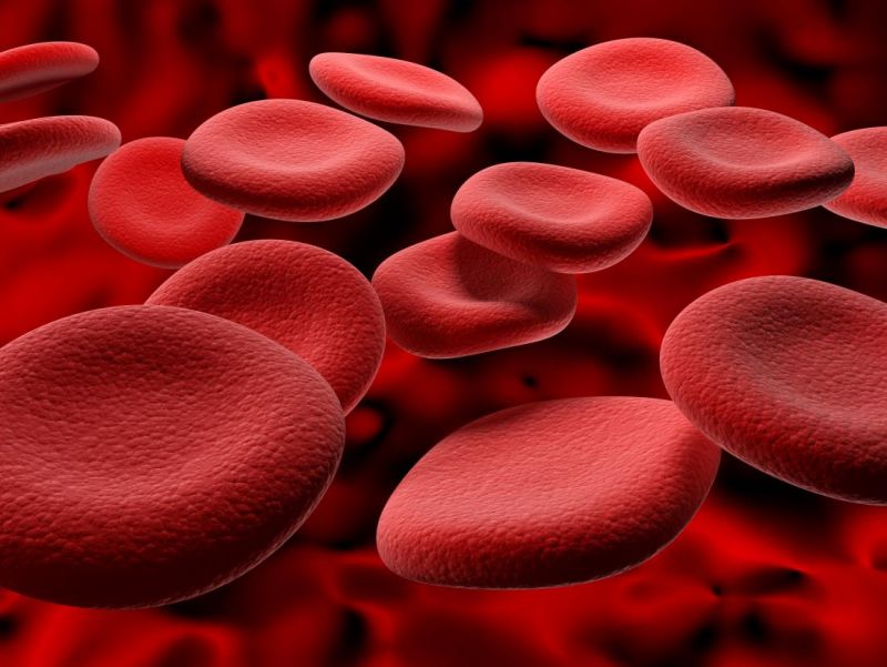 इस तरह आप भी बढ़ा सकते है रक्त में हीमोग्लोबिन का स्तर