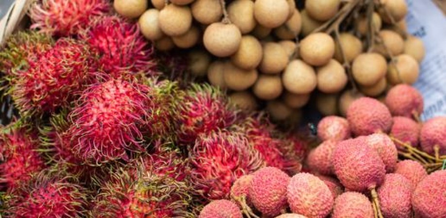 There are surprising benefits to health by eating litchi.