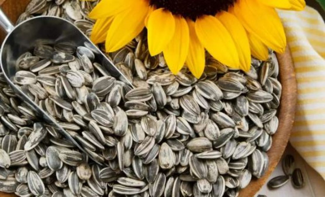 Sunflower seeds keep the heart healthy, know its benefits