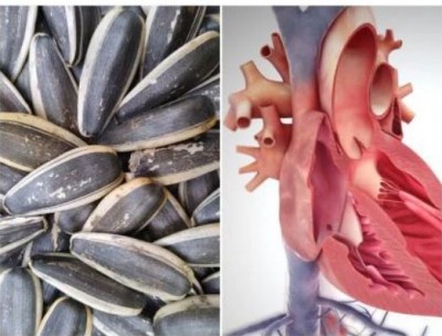 Sunflower seeds keep the heart healthy, know its benefits