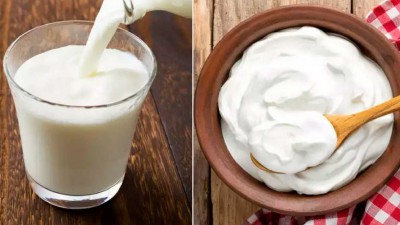 Yogurt or Buttermilk: Which is the Best Food to Eat in the Morning?