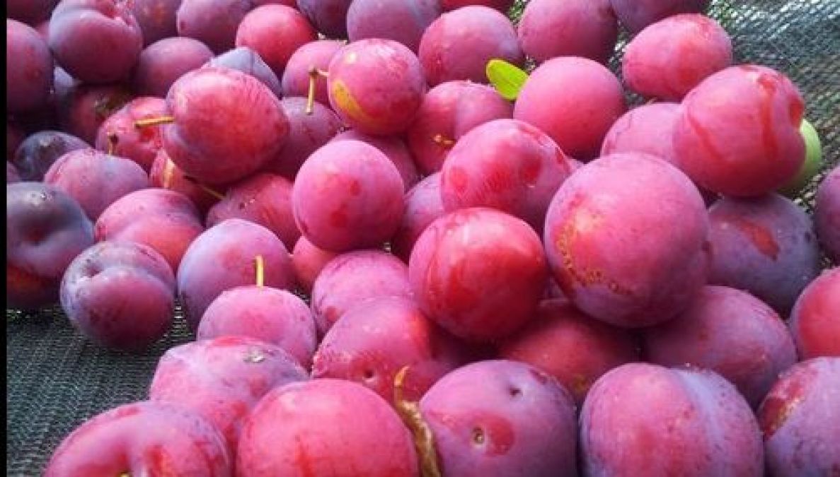 Must drink plum juice in summer, the body will have many benefits