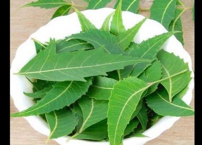 This face pack of neem will remove acne and pimples from the face