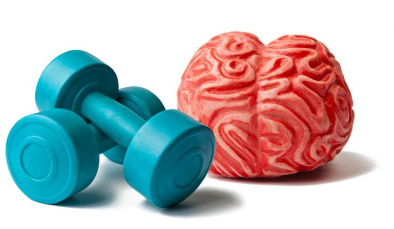 These 30 minutes of exercise can Sharp your memory