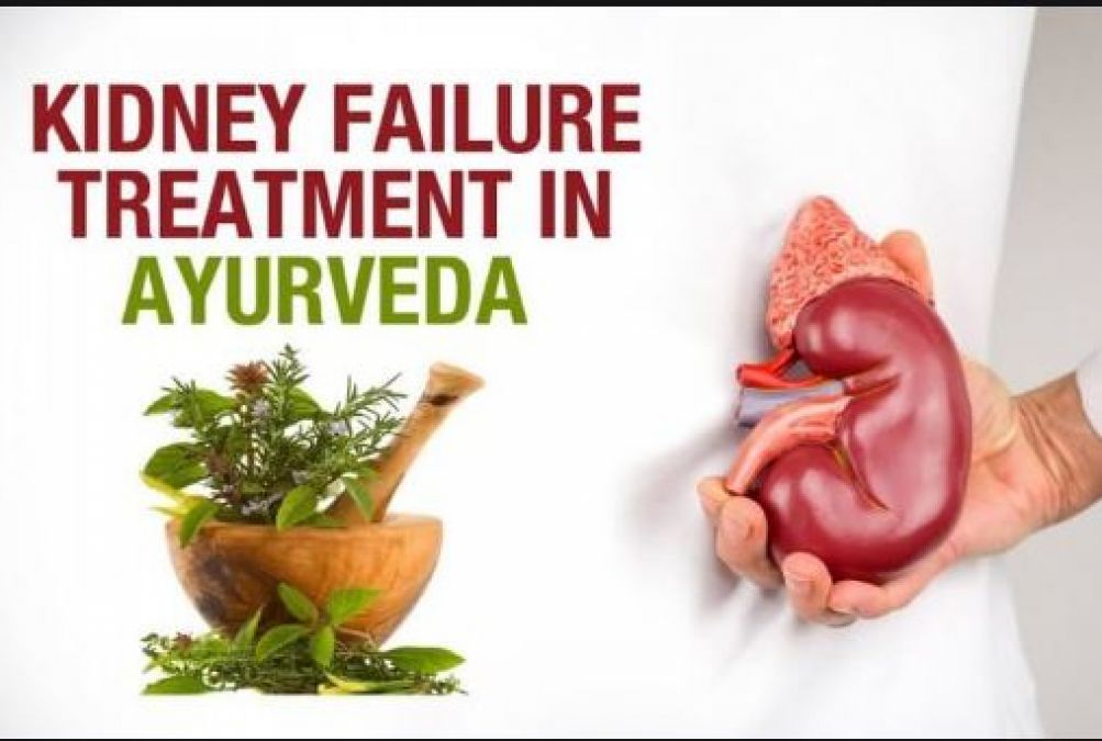Ayurveda will provide relief from kidney diseases