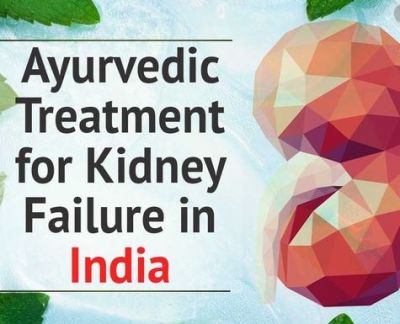 Ayurveda will provide relief from kidney diseases