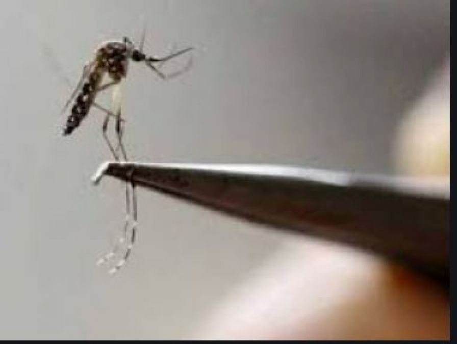 Not only due to mosquitos, but dengue can also occur because of this reason