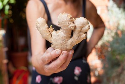 Ginger is a boon for people in cold, these are the benefits of eating it