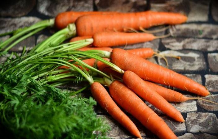 वजन घटाने में काफी फायदेमंद है गाजर का सेवन