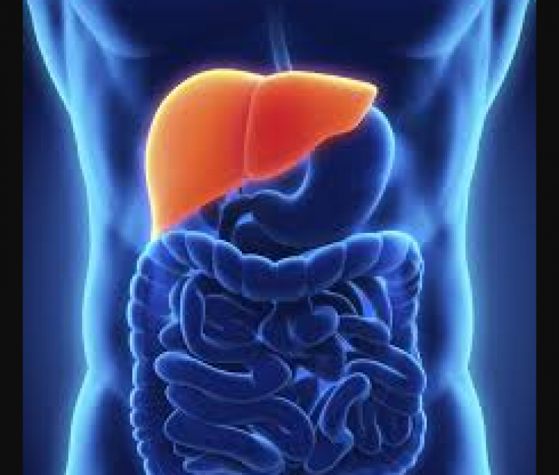 These measures will make the liver healthy and strong, Know how?