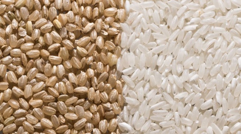 Wheat or Rice: Which Flour is More Beneficial? Find Out Here
