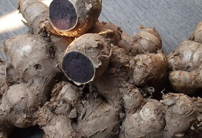 Black Turmeric: Providing Relief from Headaches to Asthma and More