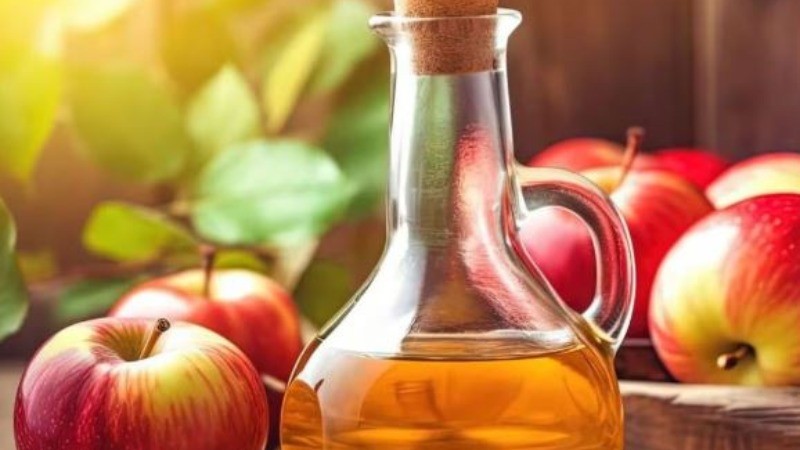 Apple cider vinegar will work to lose weight