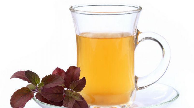 मलेरिया के बुखार को कम करती है एक कप तुलसी की चाय