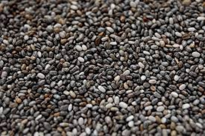 Why Should Women Eat Chia Seeds? Explore Its Benefits
