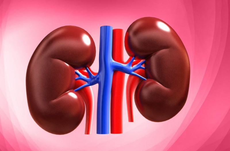 Diet for Kidney Health: THESE Foods to Consume and Avoid