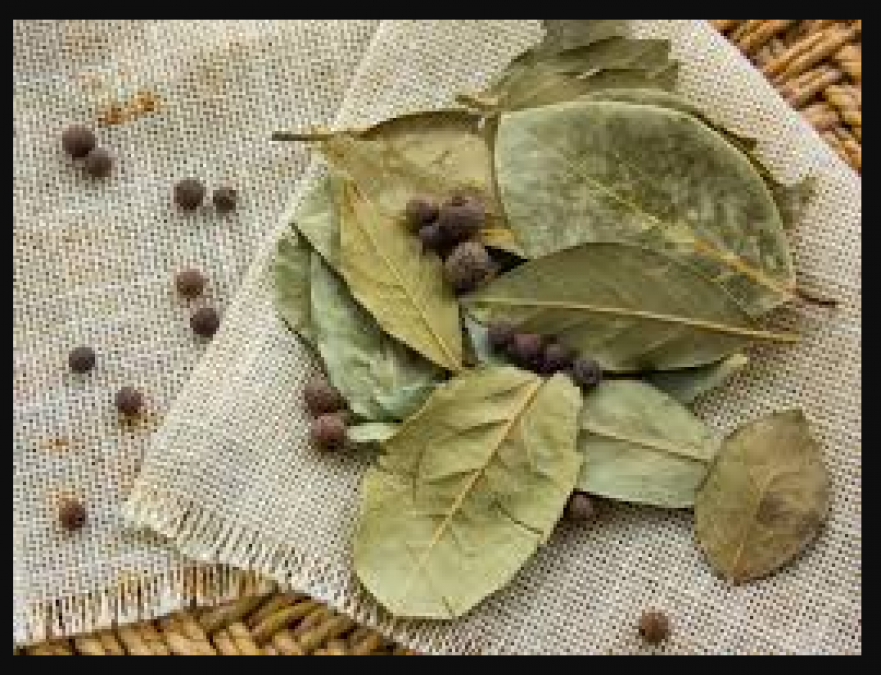 Here's how to consume bay leaves to relieve pain