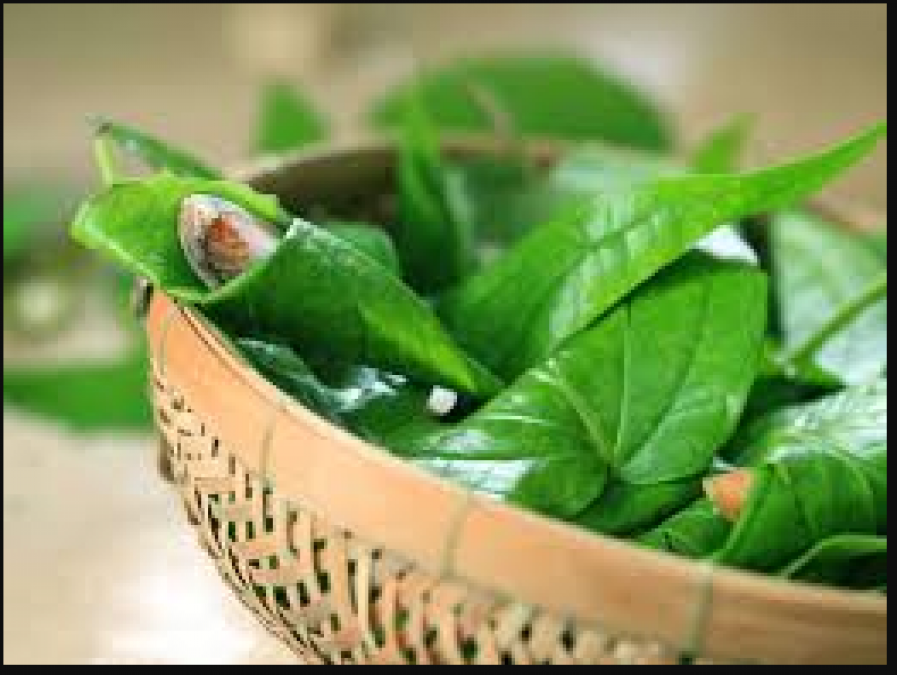 Welcome guests on the occasion of festival with Betel leaf recipe!