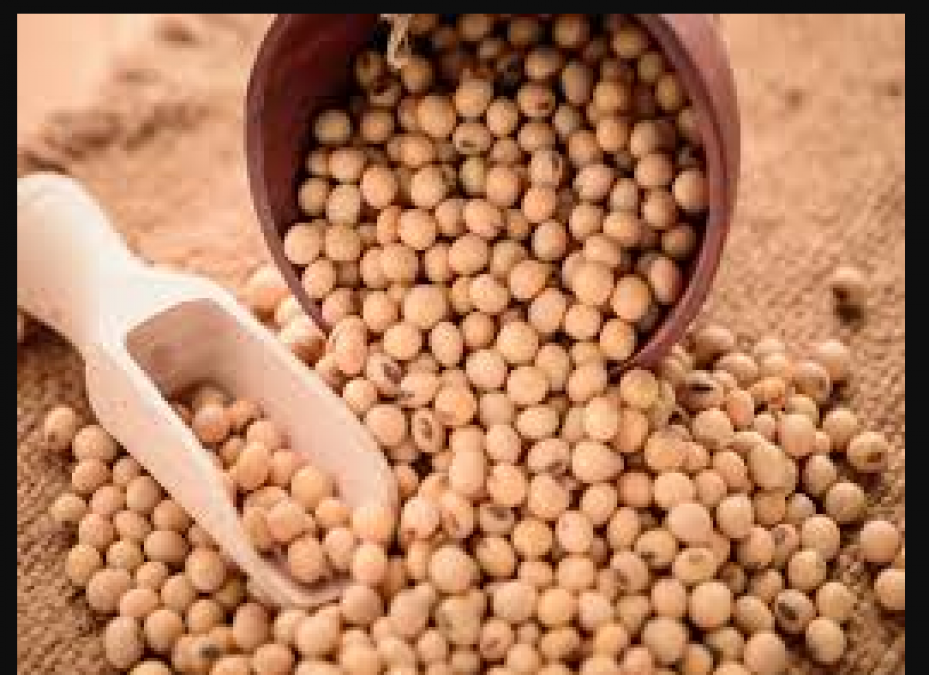 Patients with these diseases should not eat soybeans, know details