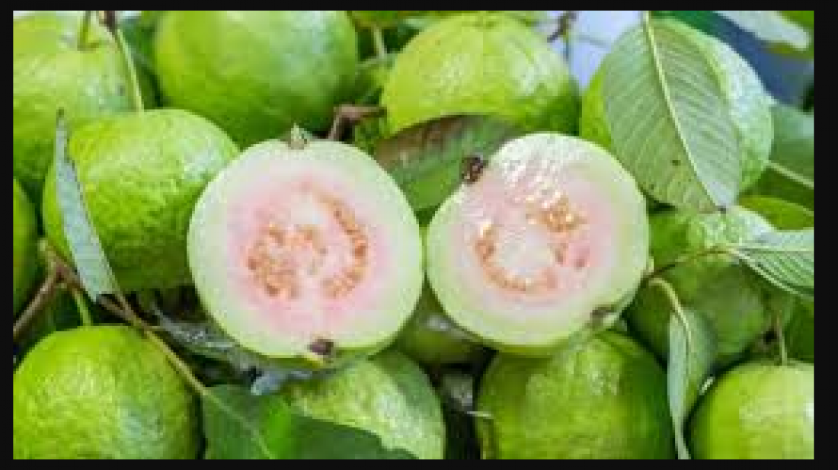 Guava is good for health as well as skin