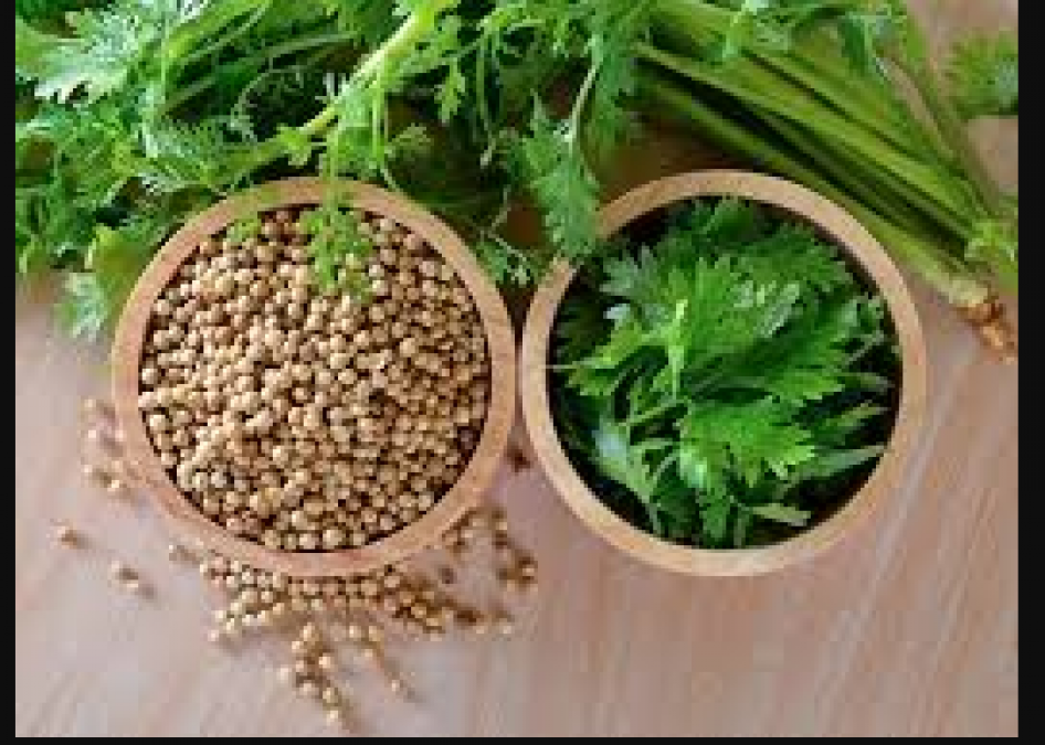 These Are Health Benefits Of Coriander Water Read On News