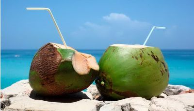 नारियल पानी के सेवन से बढ़ सकती है प्लेटलेट्स की मात्रा