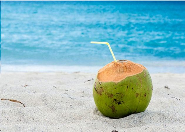 पेट के इन्फेक्शन को दूर करता है नारियल का पानी