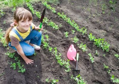 You can stay healthy by gardening, Know benefits
